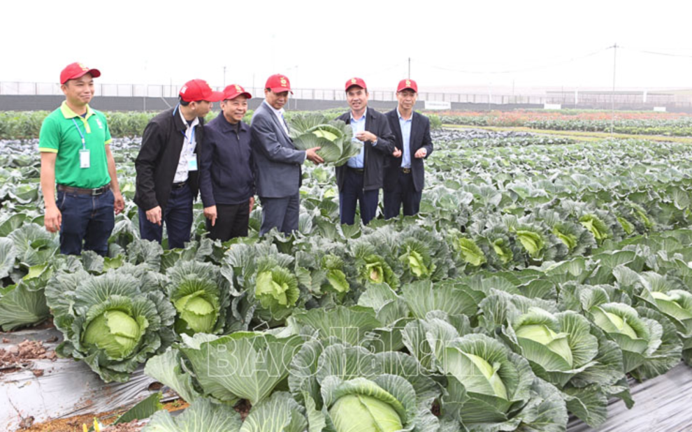 _News (10)